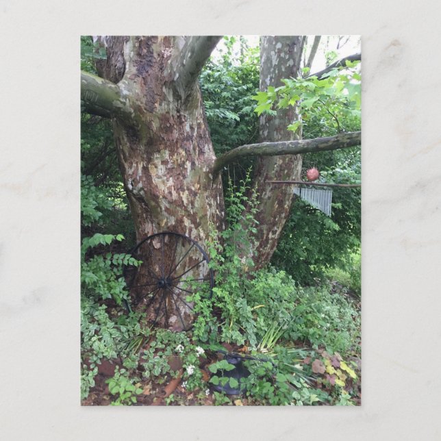 Mjuka sommarregn vykort (Framsida)