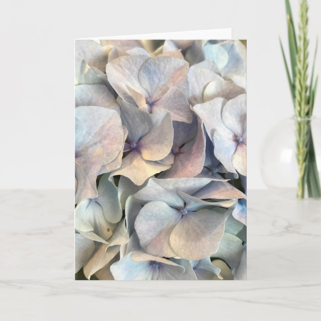 Mjuka uttryck, tomt kort (Framsida)