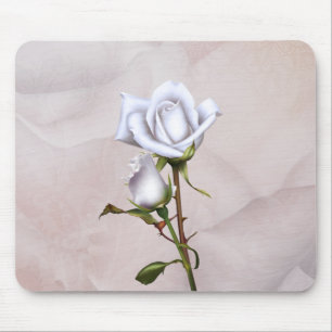 Mjuka vita rosor Elegant shabby chic Musmatta