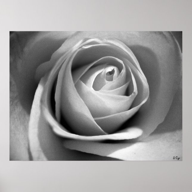 Mjuka vita, S-cyr Poster (Framsidan)