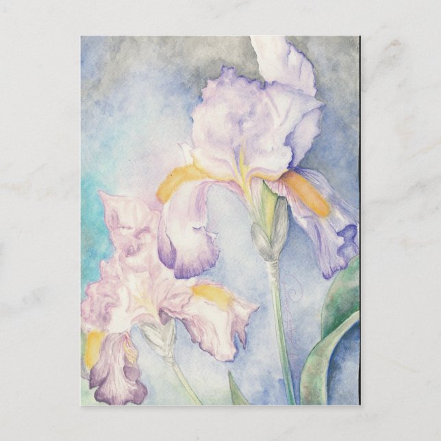 Mjukaste Iris Blommig Akvarell Vykort (Framsida)