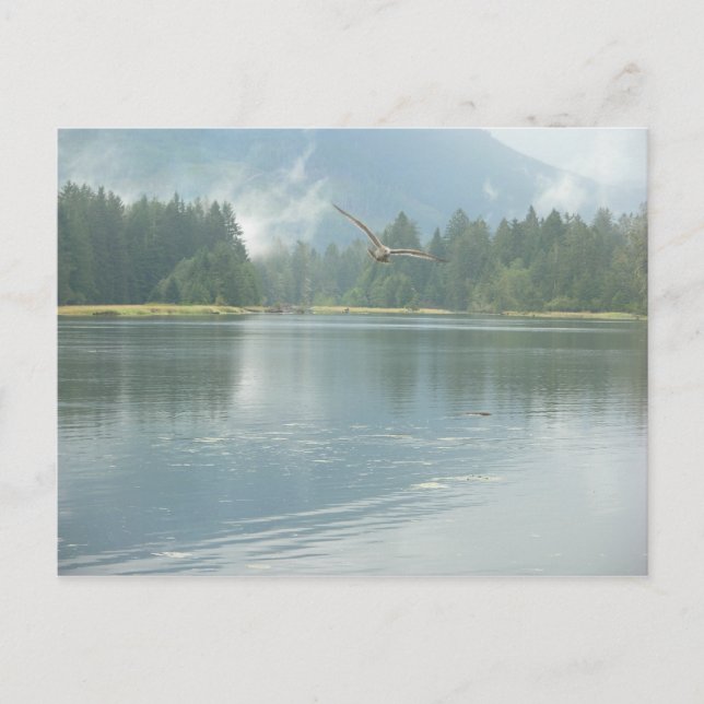 Mjukfria Vykort (Framsida)