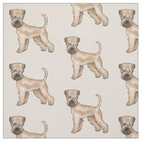 Mjukmantlad Wheaten Terrier Söt Hundmönster Beige