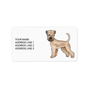 Mjukpälsad Wheaten Terrier Hund Med Anpassad Text Adressetikett