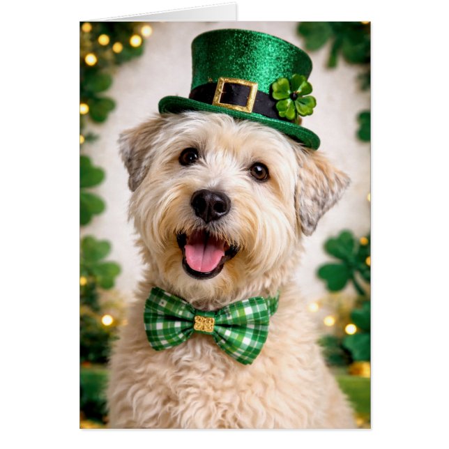 Mjukpälsad Wheaten Terrier St. Patrick's Day-kort Hälsningskort (Framsidan)