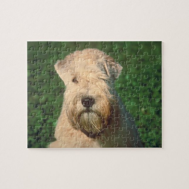 Mjukt bestruket Wheaten Terrierhundpussel Pussel (Horisontell)