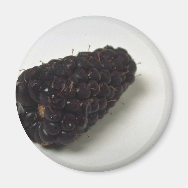 Mjukt Blackberry Magnet (Framsidan)
