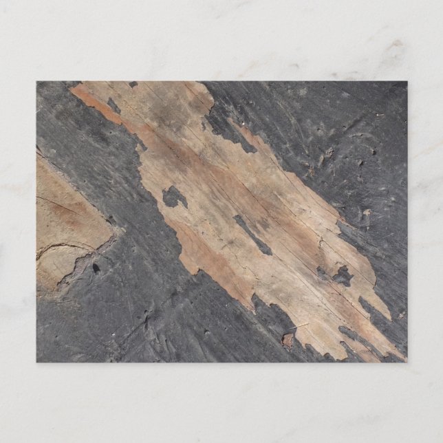 Mjukt Grått Wood-vykort Vykort (Framsida)