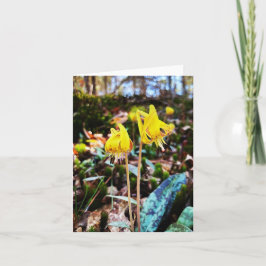 Mjukt gratulationskort med jokerfoto kort