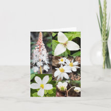 Mjukt gratulationskort med kollage av vilda blommo