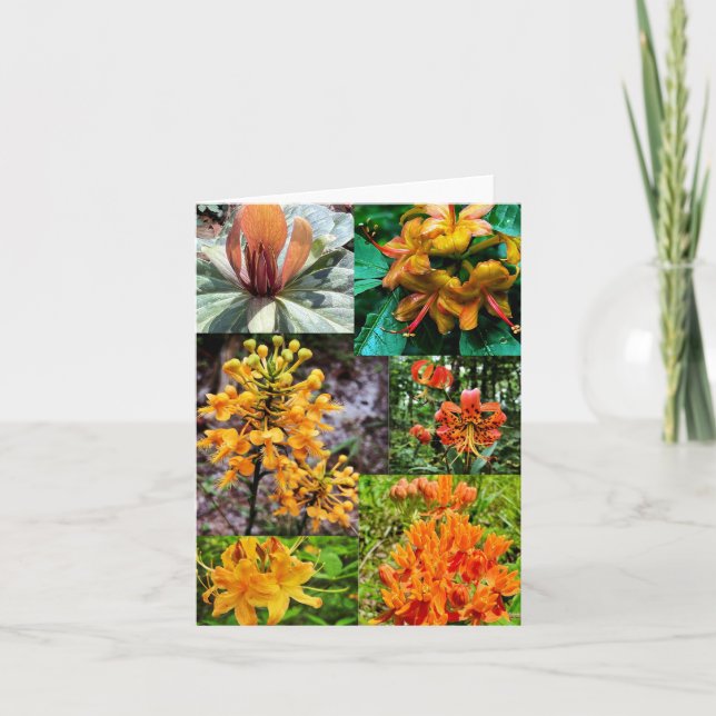 Mjukt gratulationskort med vildblomskokollage kort (Framsida)