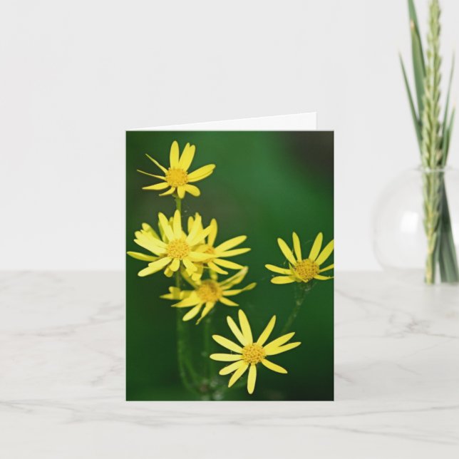Mjukt Gula Vildblommor Fotografi  Anteckningskort (Framsida)