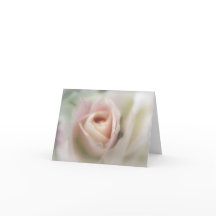 Mjukt hälsningskort för Rosa ros