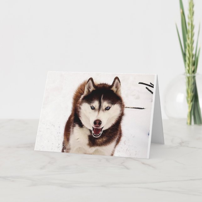 Mjukt hälsningskort i siberian husky kort (Framsida)