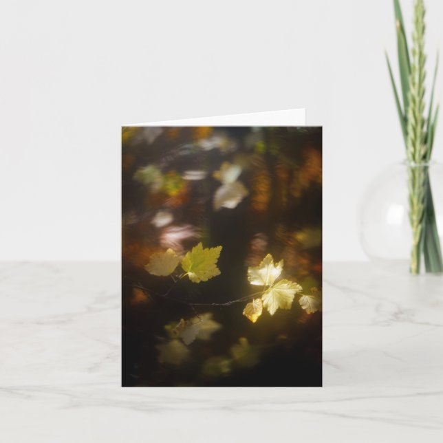 Mjukt höstljus löv Foto Kort (Framsida)