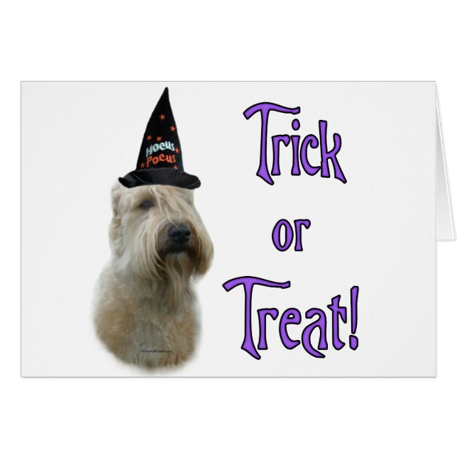 Mjukt Jackat hjulupphängning Hälsningskort (Framsidan Horizontal)