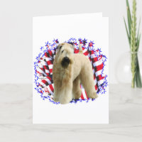 Mjukt Jackat Wheaten Terrier Patriot