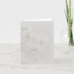 Mjukt Orchid-anteckning eller tackkort