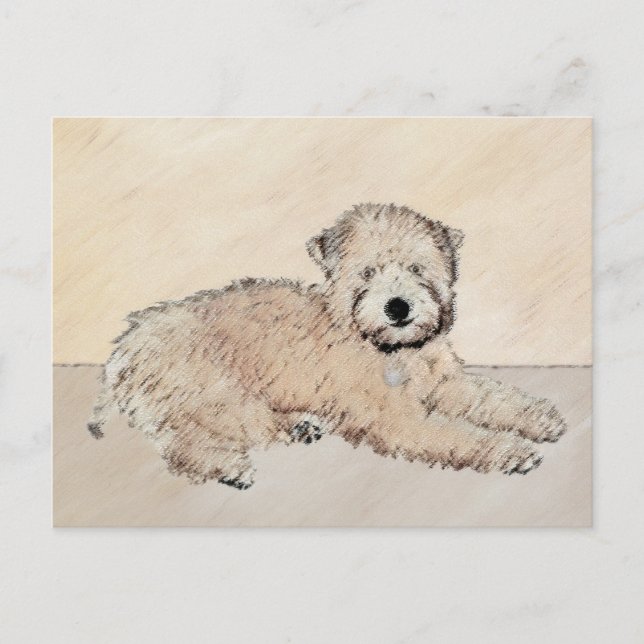 Mjukt Pälsad Wheaten Terrier-målning Original Kons Vykort (Framsida)