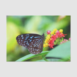 Mjukt papper för fjäril och blommor