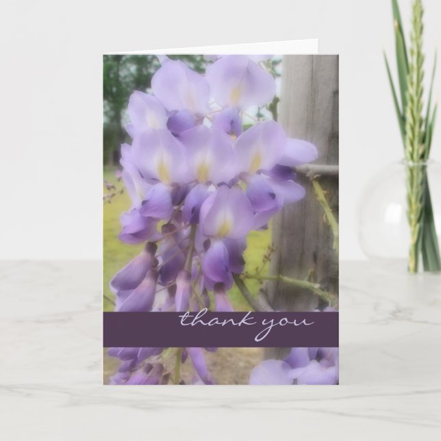 Mjukt tack - fokusera wisteriaen kort (Framsida)