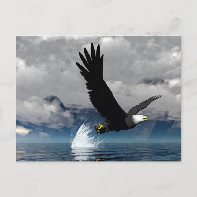 Mjukt vykort för Eagle (Framsida)