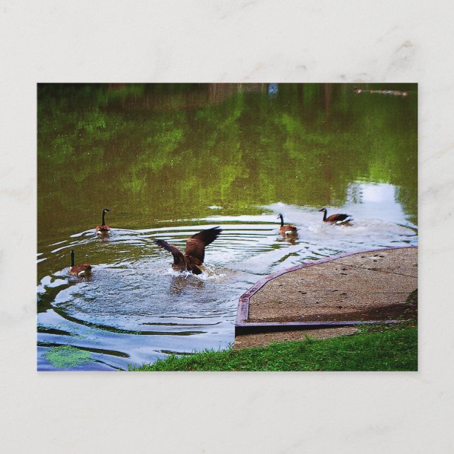 Mjukt vykort för landning (Framsida)