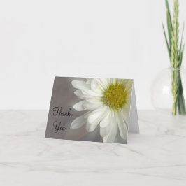 Mjukvit Daisy på Grått Tackkort