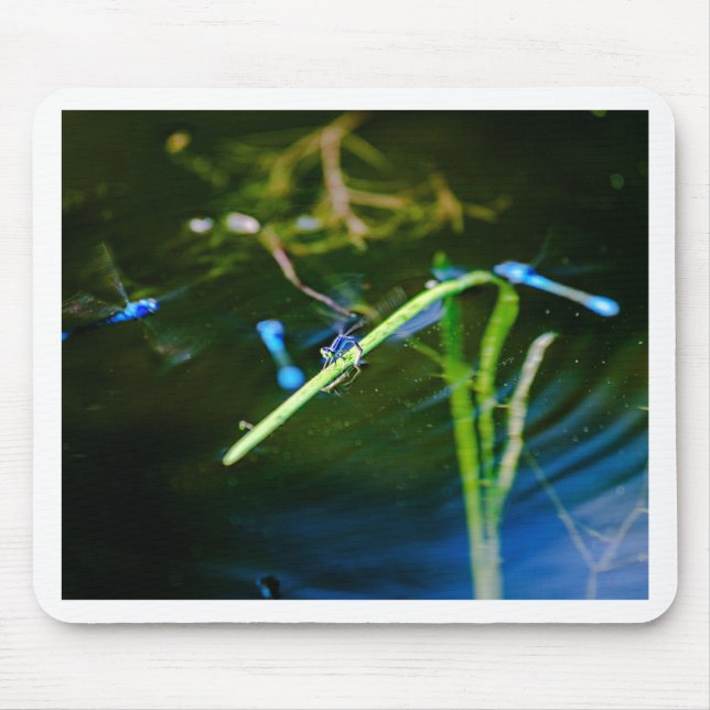 MK2A8136_v01 Musmatta (Framsidan)