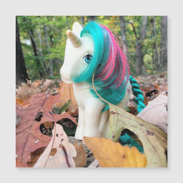 MLP Gusty in Autumn Leaves (Framsida)