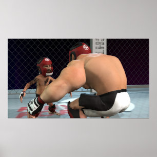 MMA Fighting - Liten Poster