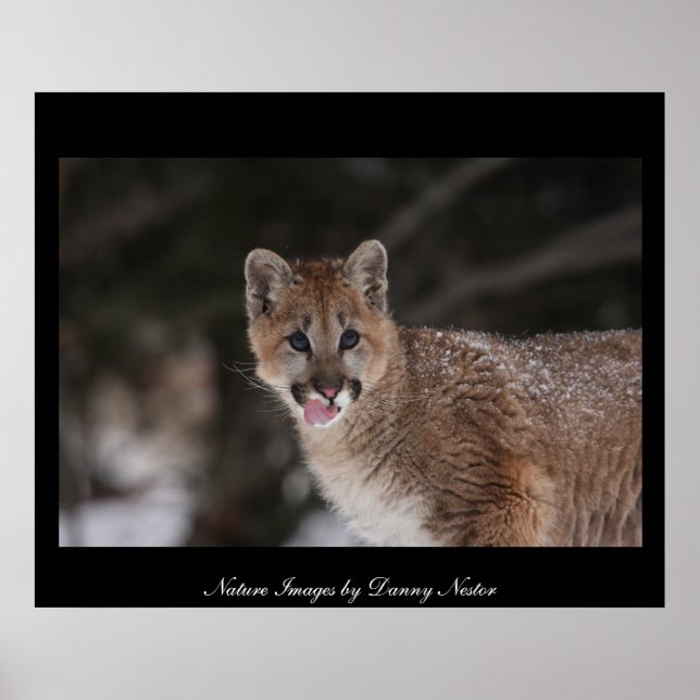 MMM - Poster (Framsidan)