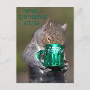 MMM... SHAMROCK JUICE! VYKORT
