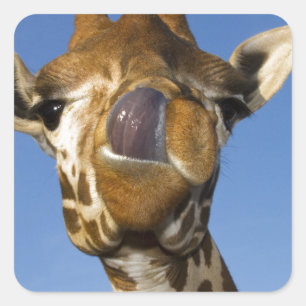 MMmm Mmmmm Bra Fyrkantigt Klistermärke