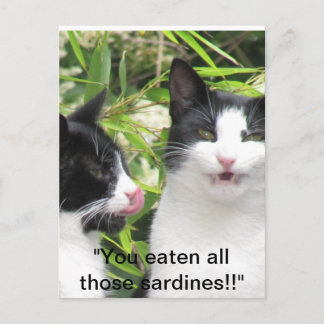 "Mmmm sardiner!!!!!!!! Vykort
