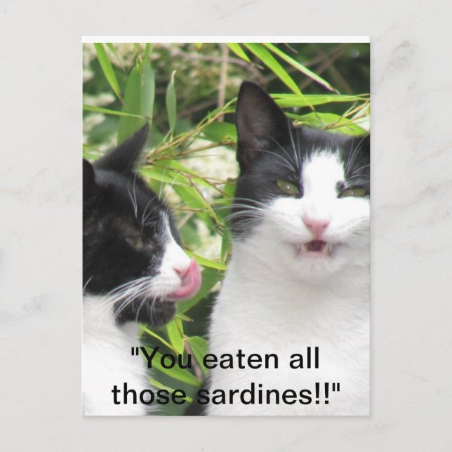 "Mmmm sardiner!!!!!!!! Vykort (Framsida)