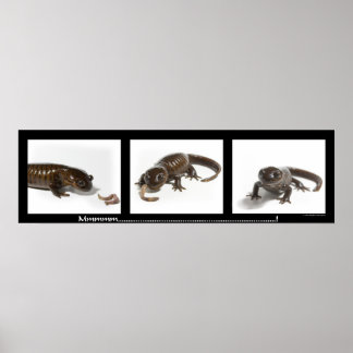 Mmmmmm................... Poster