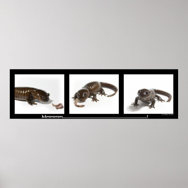 Mmmmmm................... Poster (Framsidan)