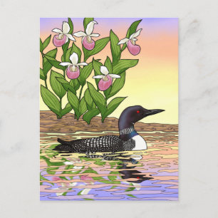 MN State Bird Flower Loon Dam Slipper Vykort