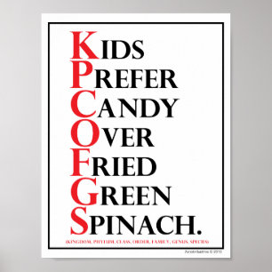 Mnemoniskt: Kids Prefer Candy - Poster