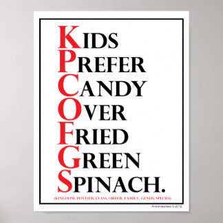 Mnemoniskt: Kids Prefer Candy - Poster