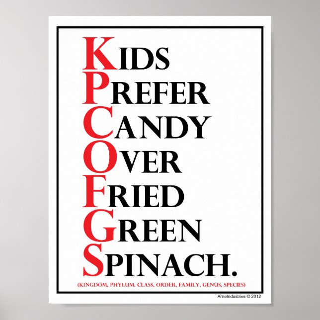 Mnemoniskt: Kids Prefer Candy - Poster (Framsidan)