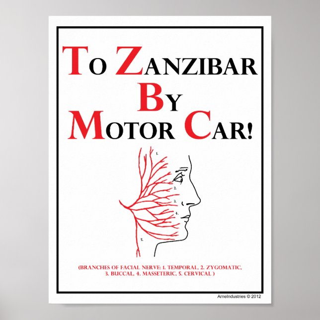 Mnemoniskt: till Zanzibar med motorfordon Poster (Framsidan)