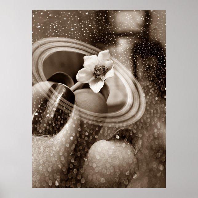 mni flor de pimentão poster (Framsidan)