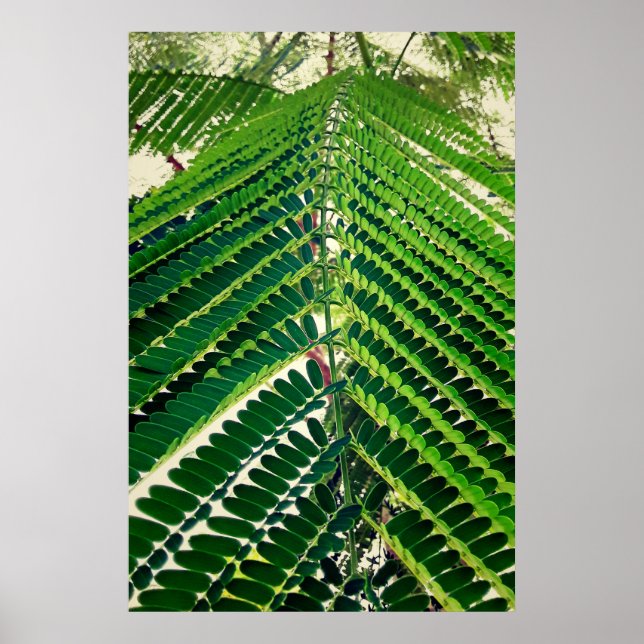 mni folha poster (Framsidan)