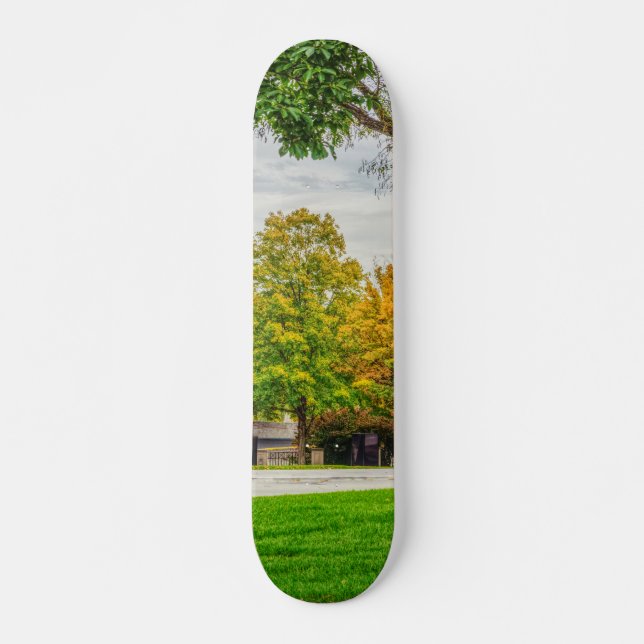 MO Huvudstad, höstskäl Mini Skateboard Bräda 18,5 Cm (Framsida)