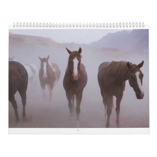 Moab Horses Kalender (Omslag)