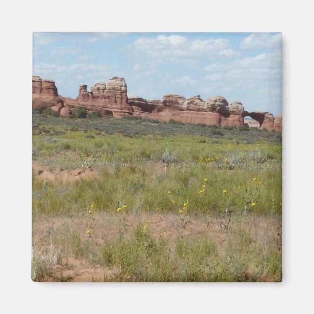 moab scenery magnet (Framsidan)