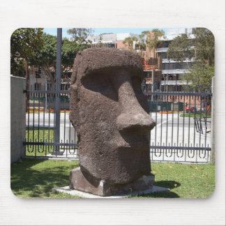 Moai staty på Lanaturhistoriamuseet Musmatta