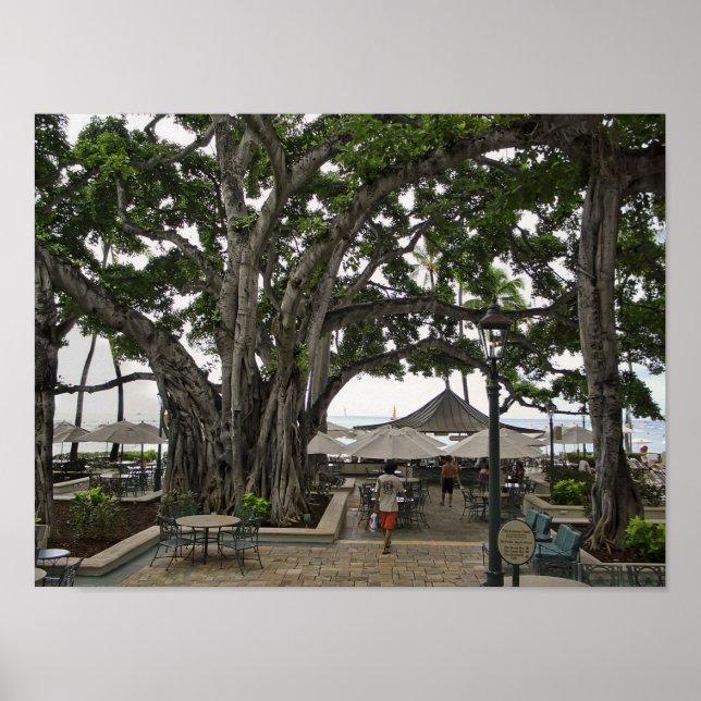 Moana Surfrider Banyan Court - Waikiki Beach Poster (Framsidan)